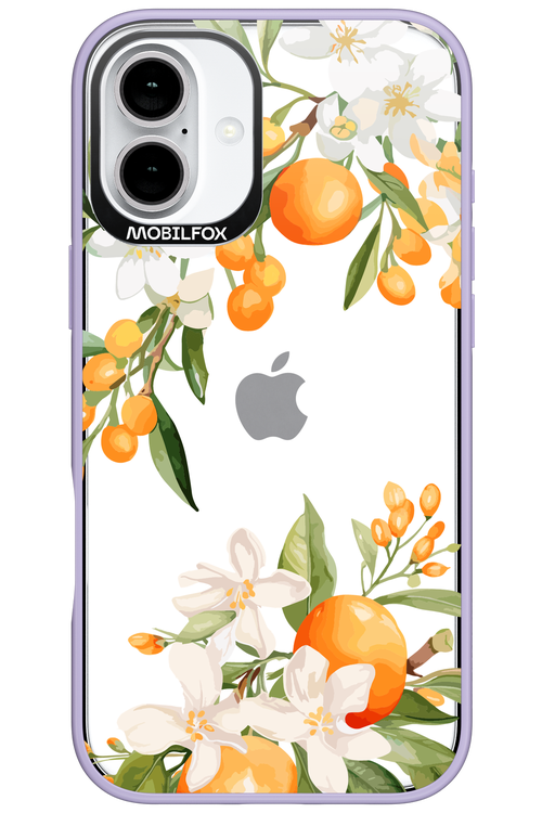 Amalfi Orange 2.0 - Apple iPhone 16 Plus
