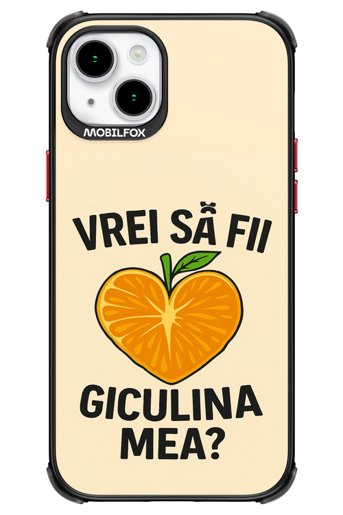 Design Clean 2.0 - Apple iPhone 15 Plus