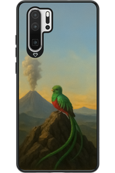 Birdy 2.0 - Huawei P30 Pro