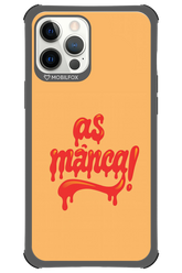 AȘ MÂNCA 2 - Apple iPhone 12 Pro Max