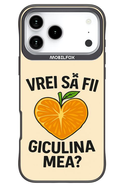 Design Clean 2.0 - Apple iPhone 17 Pro Max