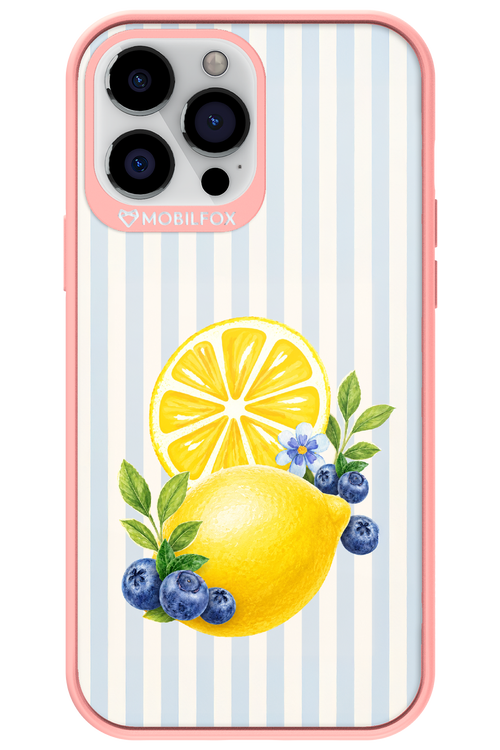 Fresh Flash 2.0 - Apple iPhone 13 Pro Max