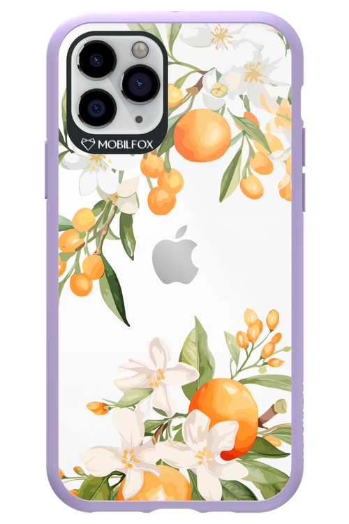 Amalfi Orange 2.0 - Apple iPhone 11 Pro