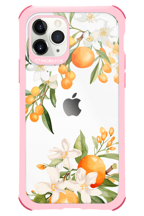 Amalfi Orange 2.0 - Apple iPhone 11 Pro