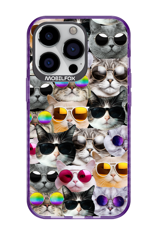 Cat World - Apple iPhone 13 Pro