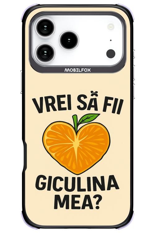 Design Clean 2.0 - Apple iPhone 17 Pro Max