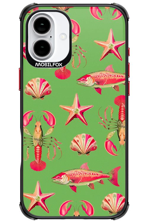 Sea Stars - Apple iPhone 16 Plus