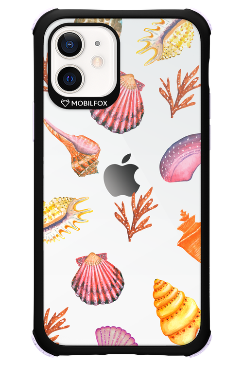 Sea Shells - Apple iPhone 12