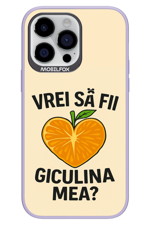 Design Clean 2.0 - Apple iPhone 14 Pro Max