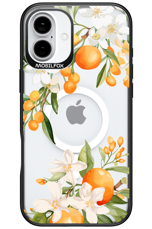 Amalfi Orange 2.0 - Apple iPhone 16 Plus