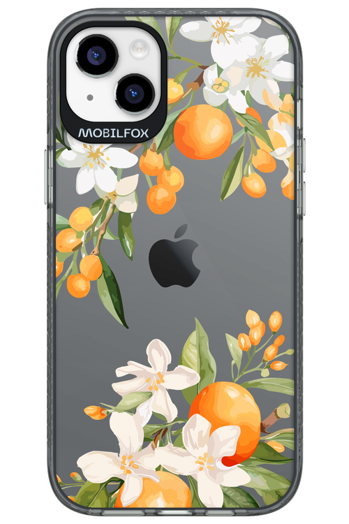 Amalfi Orange 2.0 - Apple iPhone 14 Plus