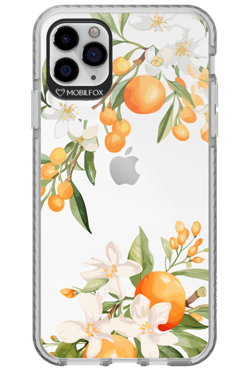 Amalfi Orange 2.0 - Apple iPhone 11 Pro Max