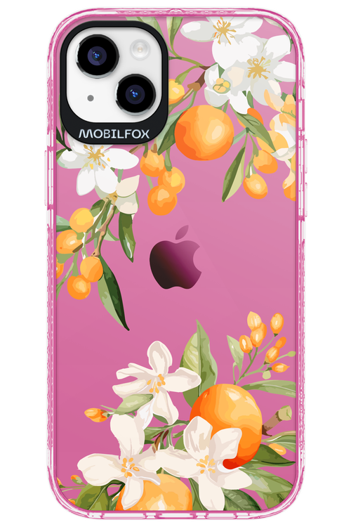 Amalfi Orange 2.0 - Apple iPhone 14 Plus