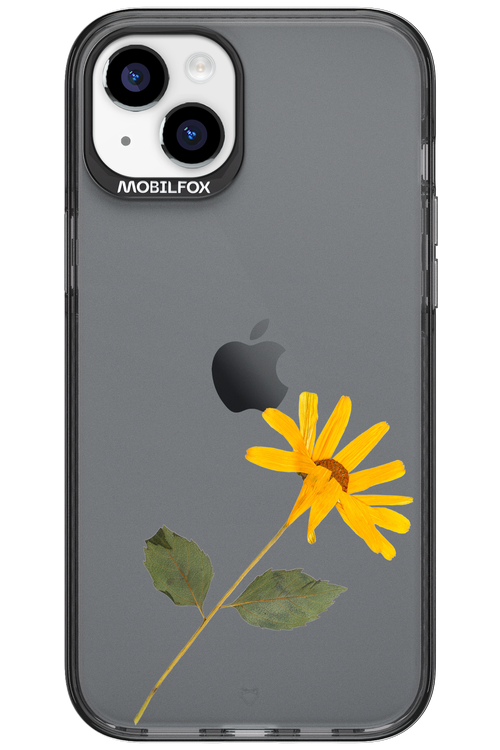 Pressed Flower - Apple iPhone 15 Plus