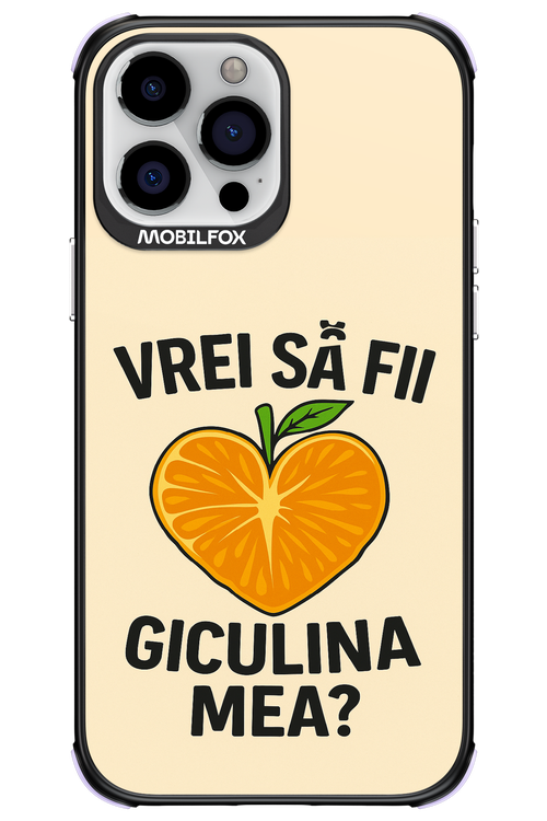 Design Clean 2.0 - Apple iPhone 13 Pro Max