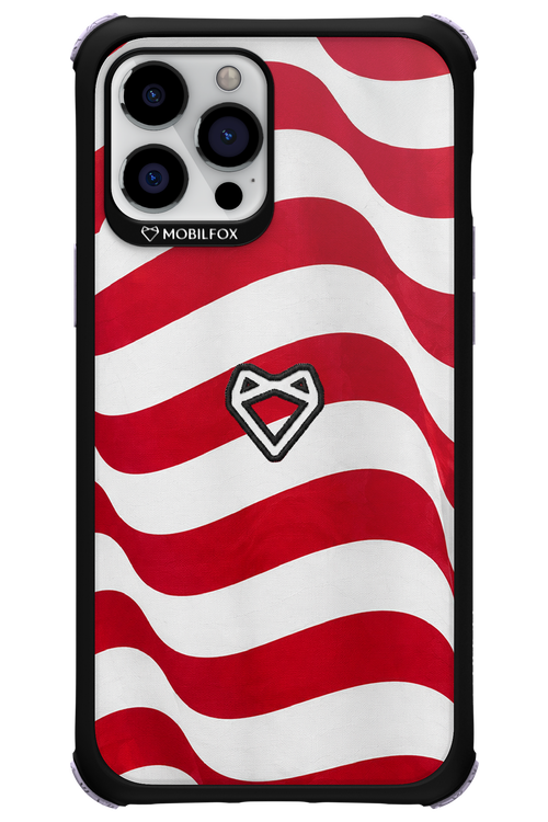 USA 2.0 - Apple iPhone 12 Pro Max