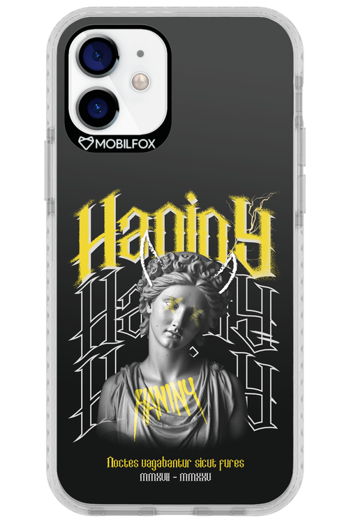 Haniny Icon (black) - Apple iPhone 12