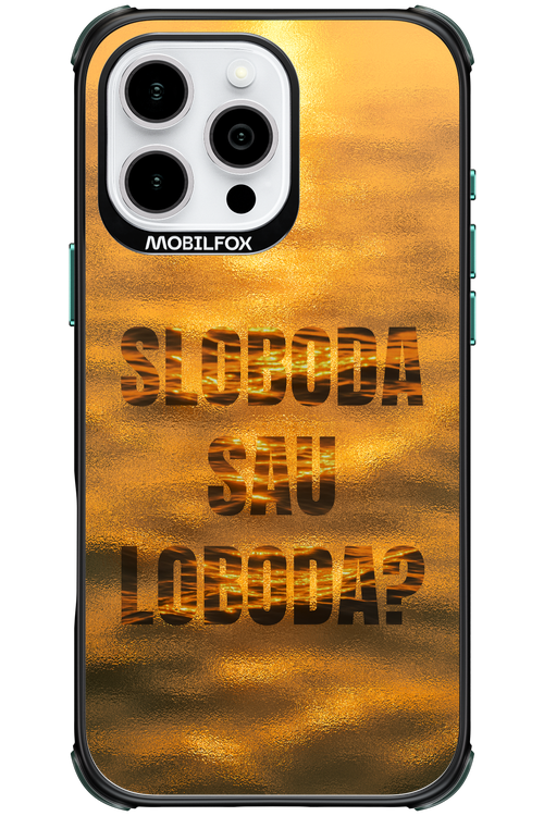 S or L - Apple iPhone 16 Pro Max