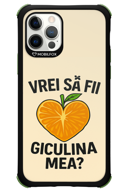 Design Clean 2.0 - Apple iPhone 12 Pro