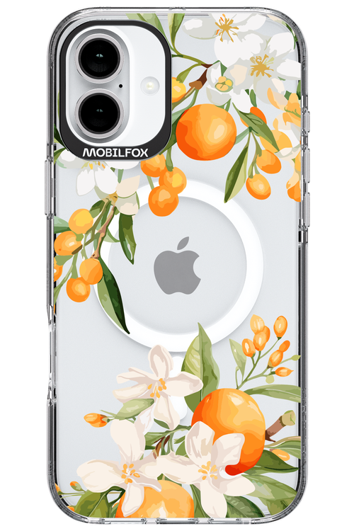 Amalfi Orange 2.0 - Apple iPhone 16 Plus