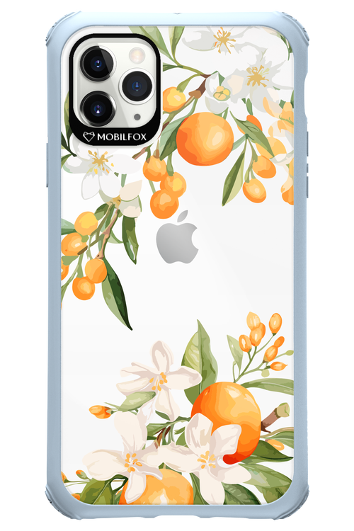 Amalfi Orange 2.0 - Apple iPhone 11 Pro Max