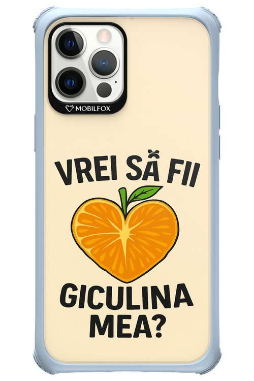 Design Clean 2.0 - Apple iPhone 12 Pro Max