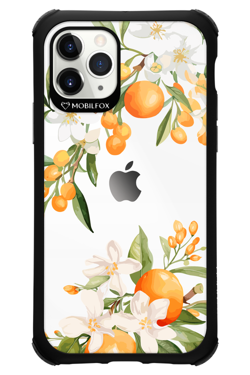 Amalfi Orange 2.0 - Apple iPhone 11 Pro