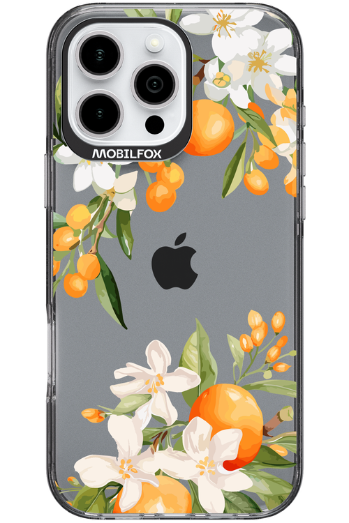 Amalfi Orange 2.0 - Apple iPhone 16 Pro Max