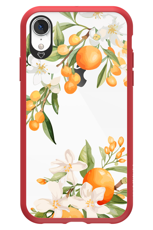 Amalfi Orange 2.0 - Apple iPhone XR