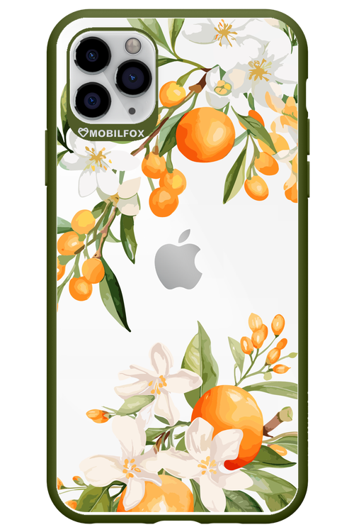 Amalfi Orange - Apple iPhone 11 Pro Max