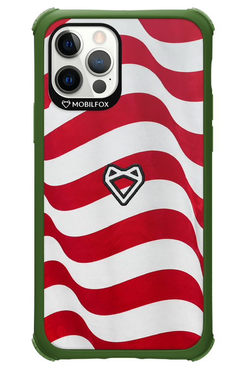 USA 2.0 - Apple iPhone 12 Pro