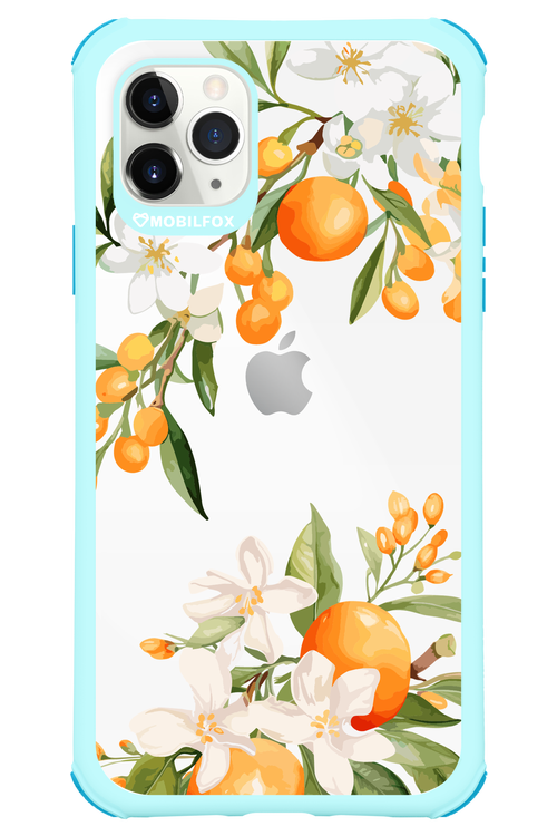 Amalfi Orange 2.0 - Apple iPhone 11 Pro Max