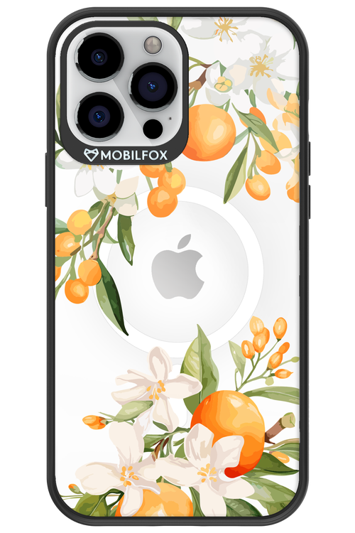 Amalfi Orange 2.0 - Apple iPhone 13 Pro Max