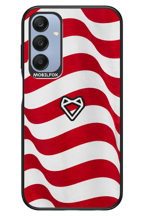 USA 2.0 - Samsung A25
