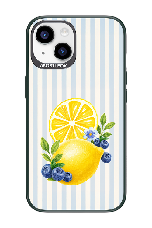Fresh Flash 2.0 - Apple iPhone 14