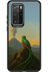 Birdy 2.0 - Huawei P40 Pro
