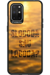 S or L - OnePlus 8T
