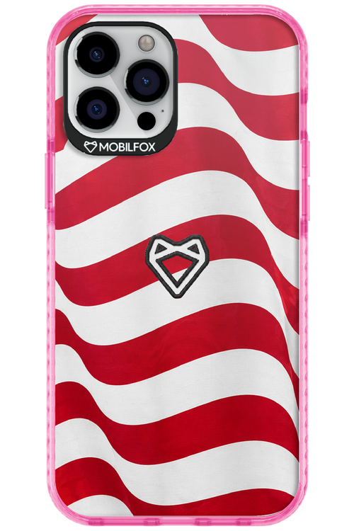 USA 2.0 - Apple iPhone 12 Pro Max