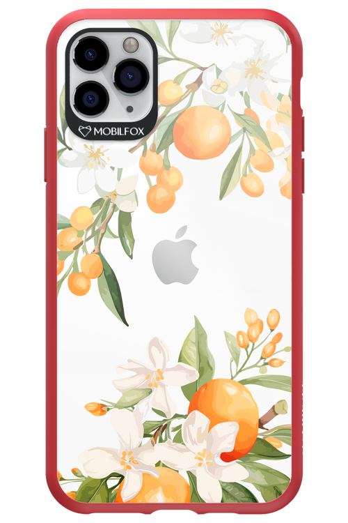Amalfi Orange 2.0 - Apple iPhone 11 Pro Max