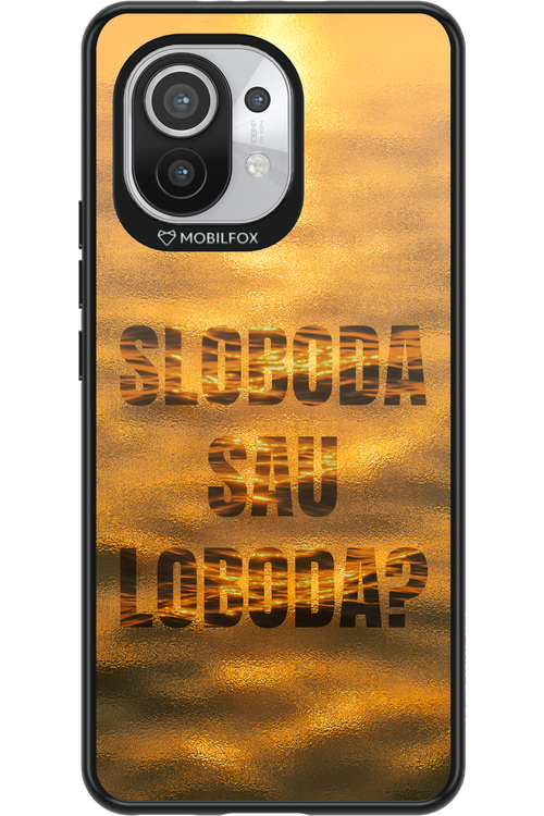 S or L - Xiaomi Mi 11 5G