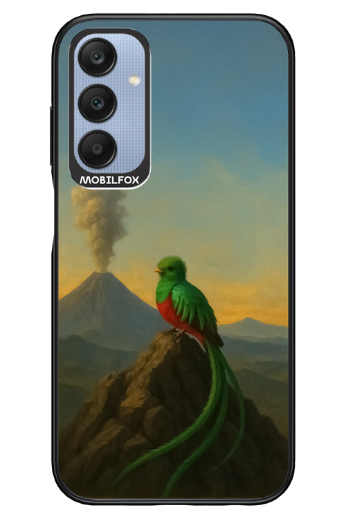 Birdy 2.0 - Samsung A25