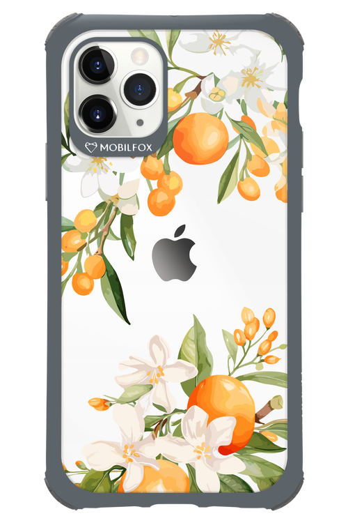 Amalfi Orange 2.0 - Apple iPhone 11 Pro