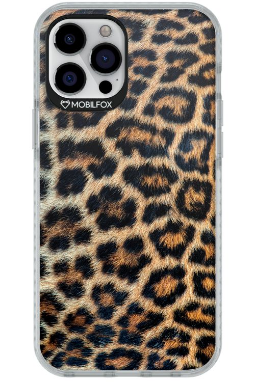 Leopard 2.0 - Apple iPhone 12 Pro Max
