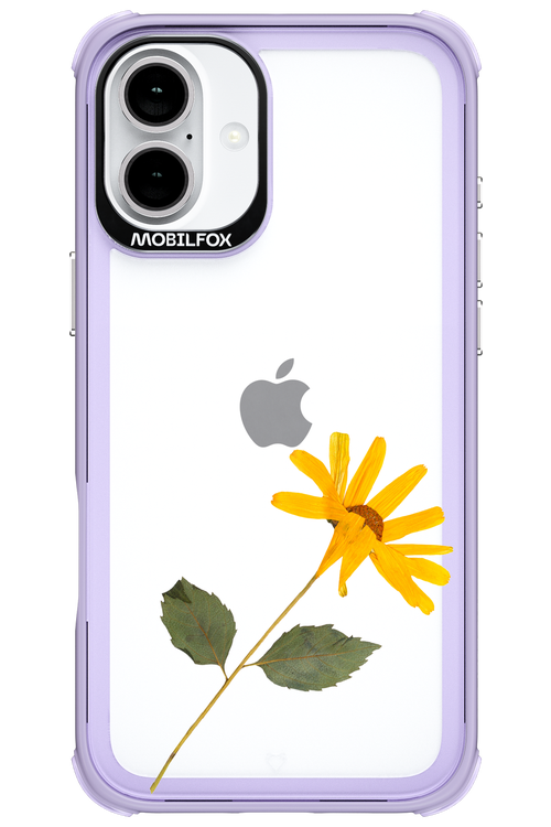 Pressed Flower - Apple iPhone 16 Plus