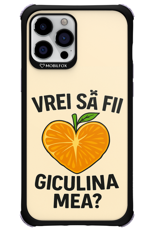 Design Clean 2.0 - Apple iPhone 12 Pro Max
