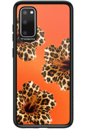 Sun Purr 2.0 - Samsung Galaxy S20