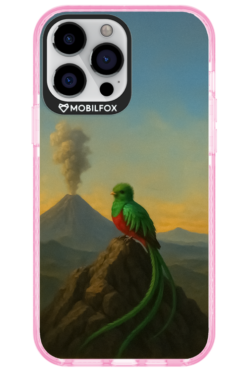 Birdy 2.0 - Apple iPhone 13 Pro Max