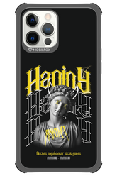 Haniny Icon (black) - Apple iPhone 12 Pro Max
