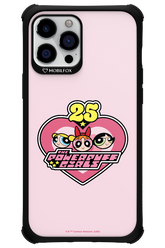 The Powerpuff Girls 25 - Apple iPhone 12 Pro Max