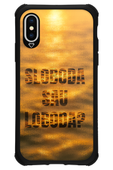 S or L - Apple iPhone X